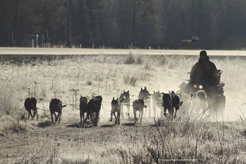 1374968_10151905897609286_551308734_n