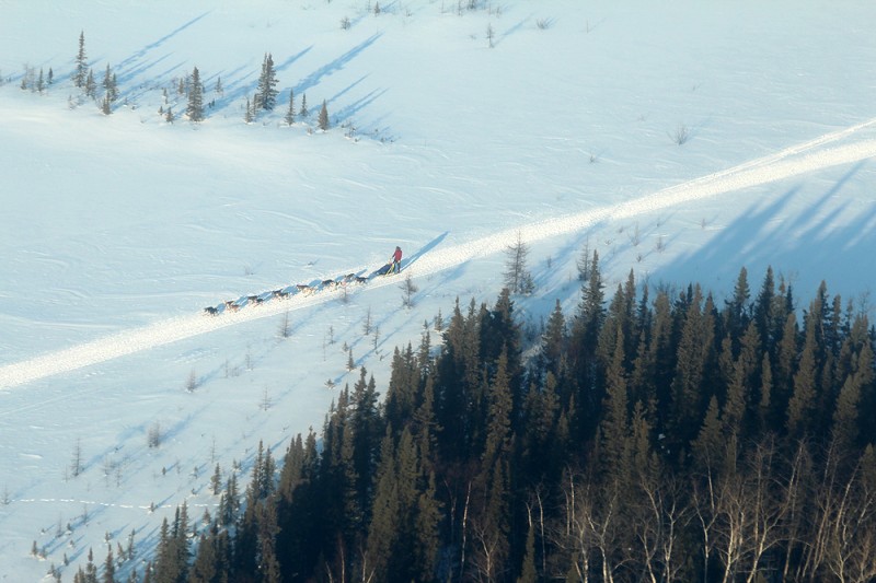 Joar Iditarod 2013