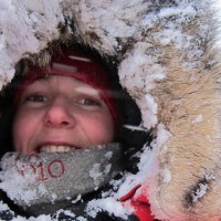 1379757_639700239386863_1488120151_n