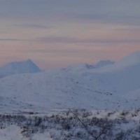 1453230_543494115729261_890958328_n