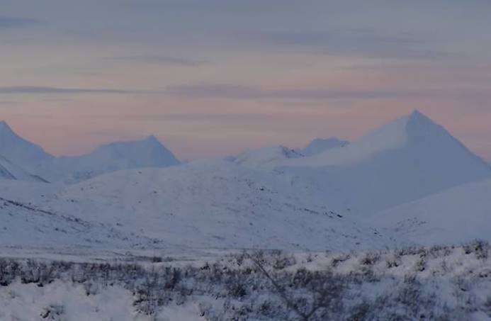 1453230_543494115729261_890958328_n