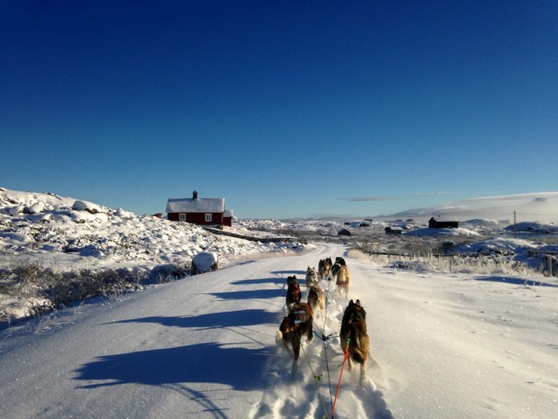 1460210_446065755498651_859731580_n