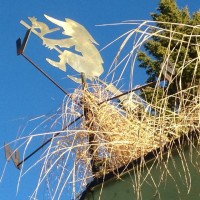 1465276_433141323456792_951559087_n