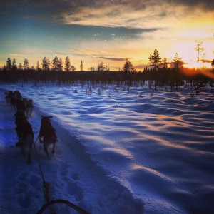 1477397_10152396962968272_1981607027_n