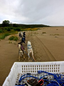 944805_611799985510222_235453287_n