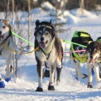 Helle-ut-fra-start-FOTO-SJEKKPUNKTET_NO