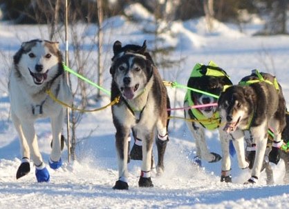 Helle-ut-fra-start-FOTO-SJEKKPUNKTET_NO