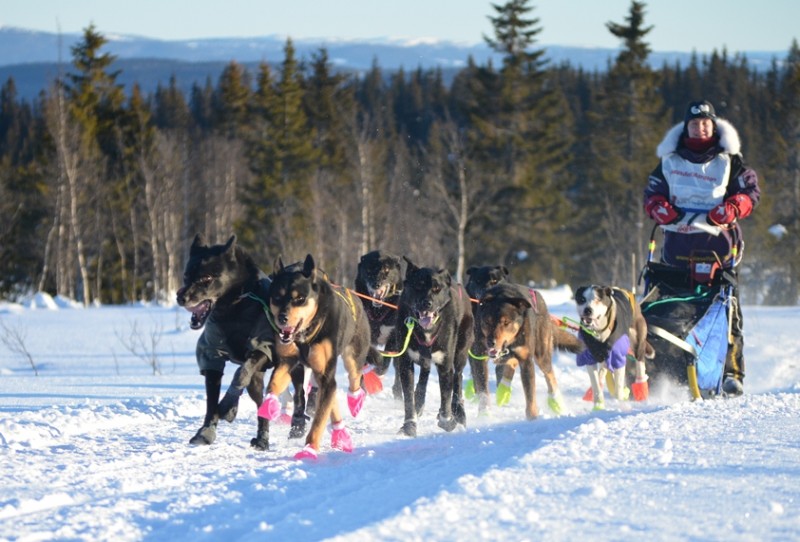 team-kvams-firbente-med-sissel-vollan