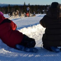 72814_391394274290155_59130468_n