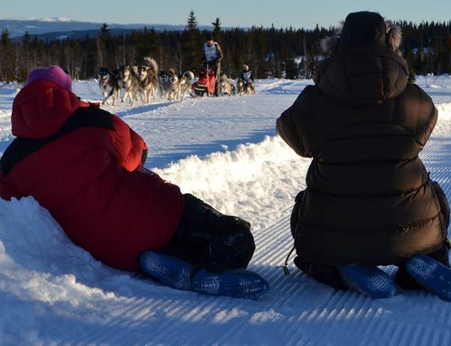 72814_391394274290155_59130468_n