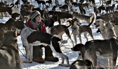 Elisabeth_i_hundene_christiane