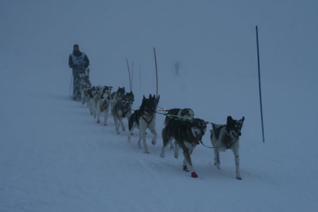 Ola Brennodden Sunde