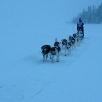 Synnfjorden, Ola Brennodden Sunde