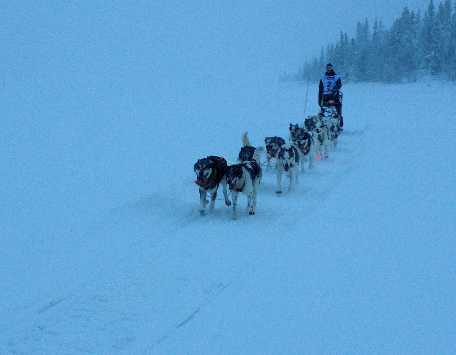 Synnfjorden, Ola Brennodden Sunde