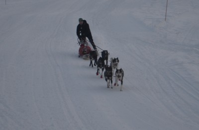 Sebastian-ned-bakken