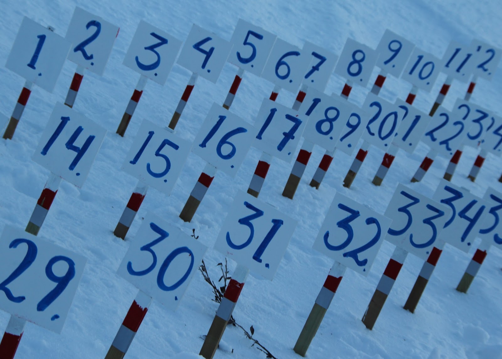 bergebyløpet13nr1 029beskjært