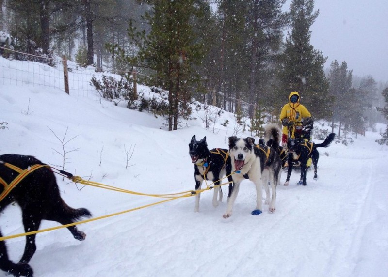 1620989_620462794675667_1329490068_n