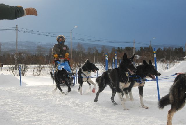 Robert Sørlie Grimsbu