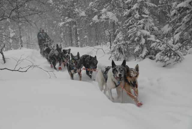 Birgitte Næss Wærner