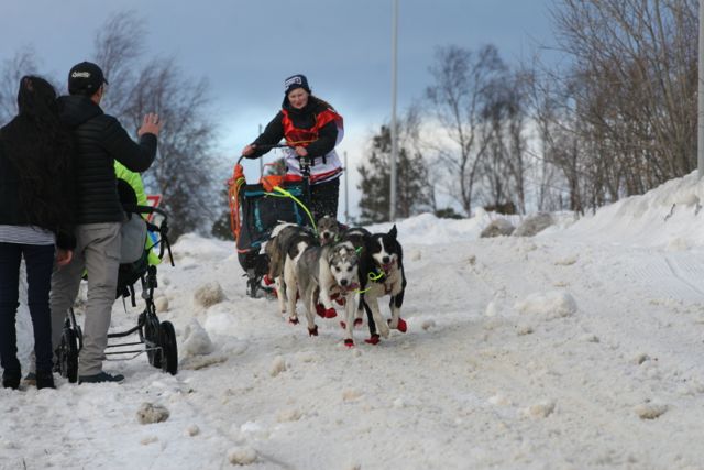 Helle Seiertun Bjerke