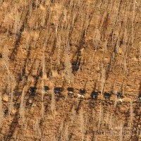 1456053_660410523997389_1292107756_n