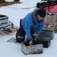 Birgitte Næss Wærner