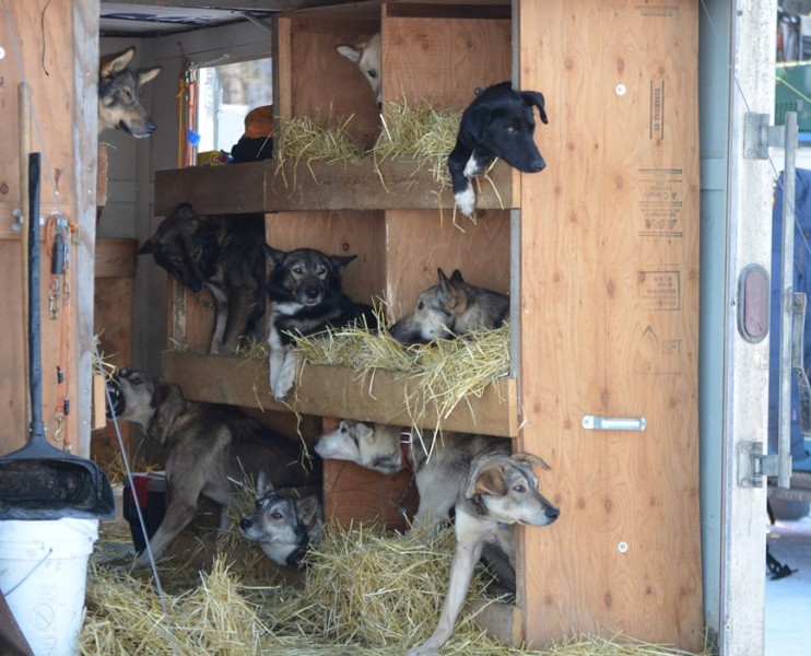 Husky Homestead