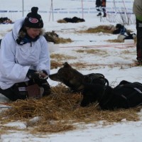 Birgitte Næss Wærner