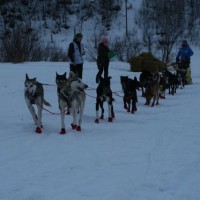 Birgitte Næss Wærner