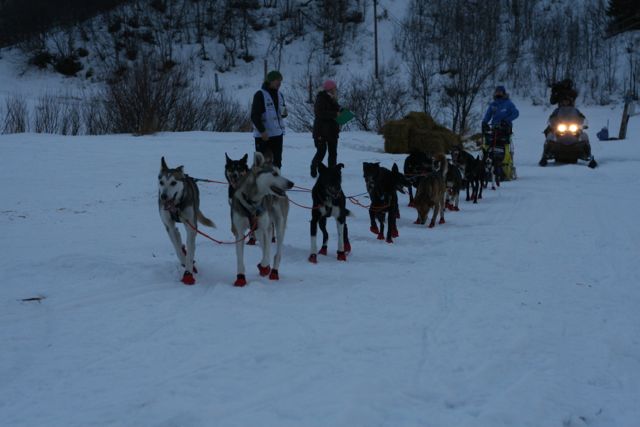 Birgitte Næss Wærner