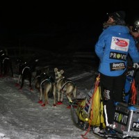 Birgitte Næss Wærner