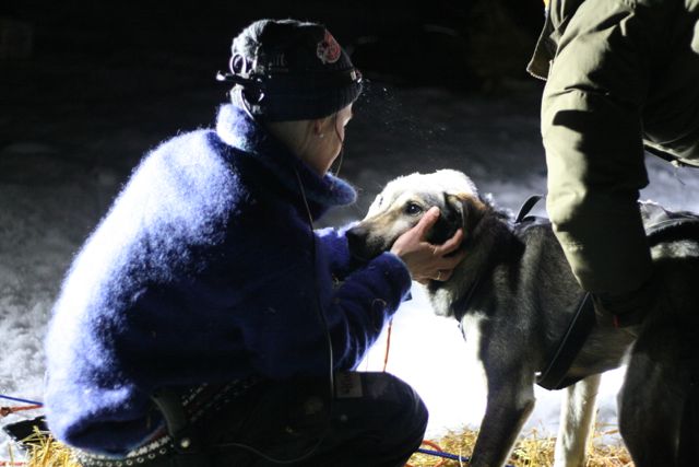 Birgitte Næss Wærner