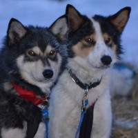 10013779_622027011226879_239199657_n