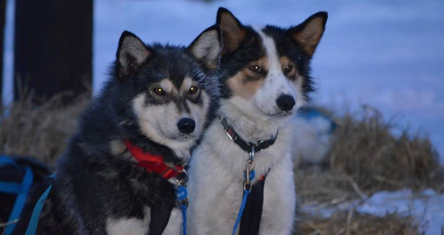 10013779_622027011226879_239199657_n