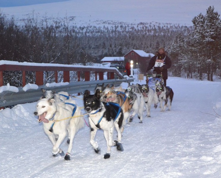 383966_172016922894559_155228338_n