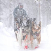 1016418_603408626422051_1879996587_n