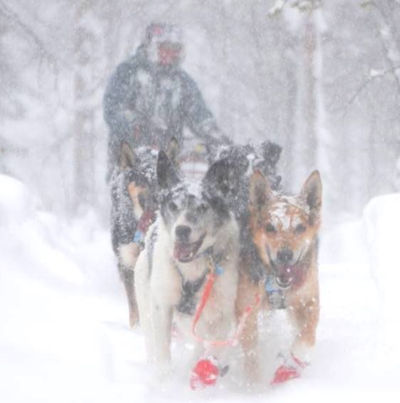 1016418_603408626422051_1879996587_n