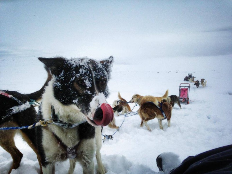 544923_599704666801425_1187963822301436038_n