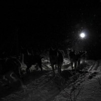 Stemning-Alta-2-dagers-536x600