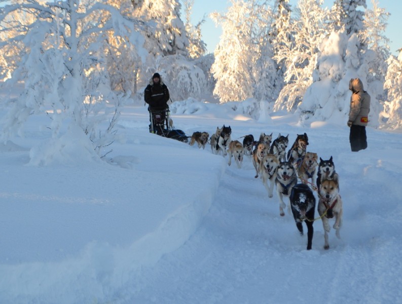 Ronny Frydenlund 5-mila