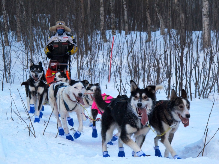 ???????????????????????????????