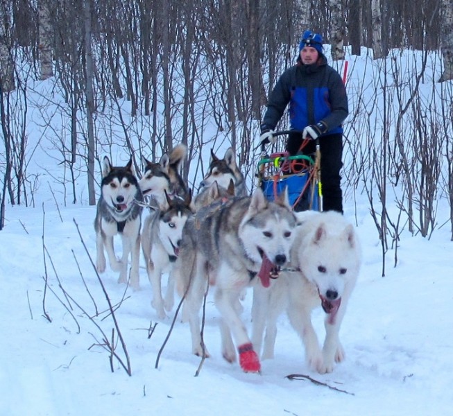 ???????????????????????????????