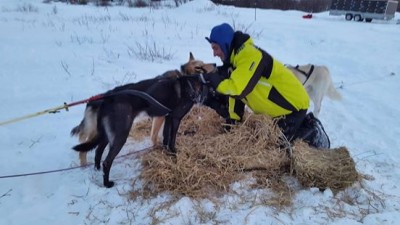 10981741_635387669900470_2668140886806500113_n