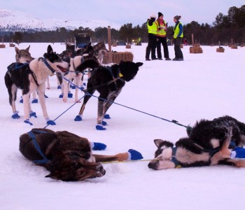 ??????????????????????????????????????