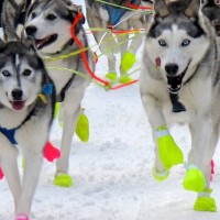 ???????????????????????????????