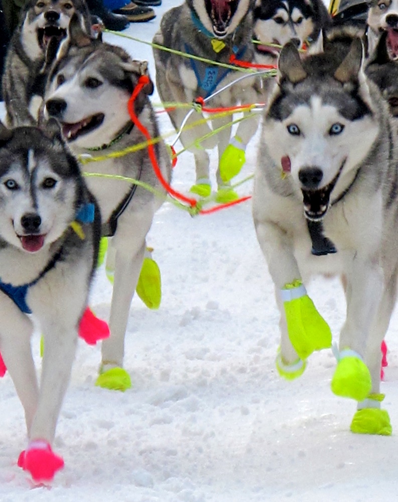 ???????????????????????????????