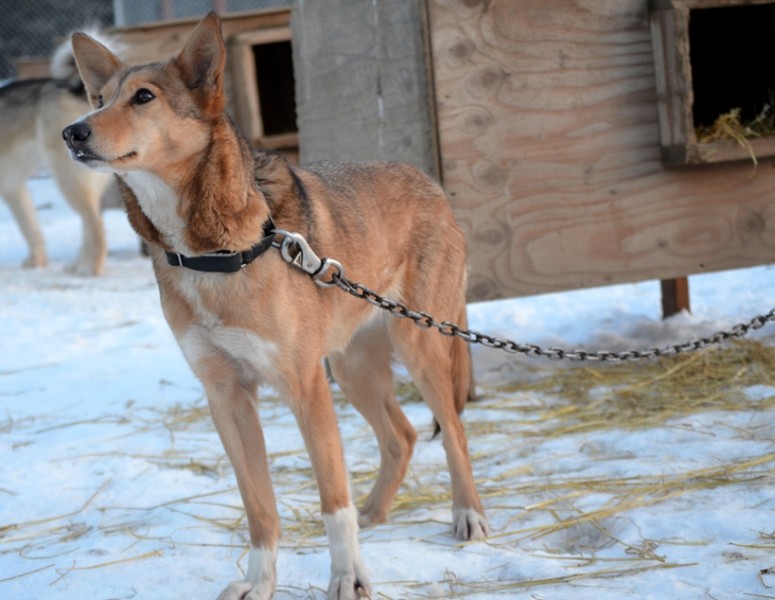 ????????????????????????????????????